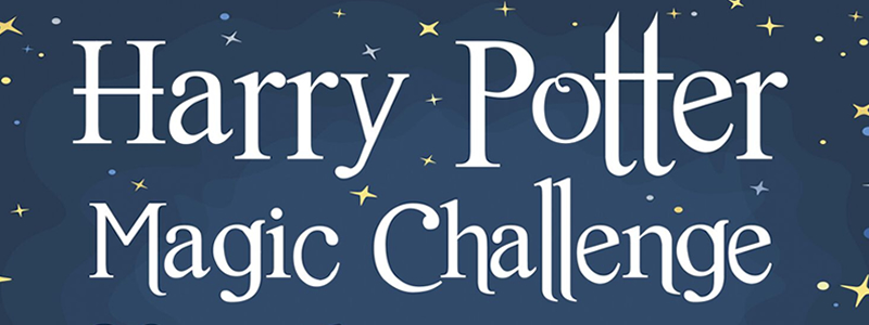 Harry Potter Magic Challenge School of Magic